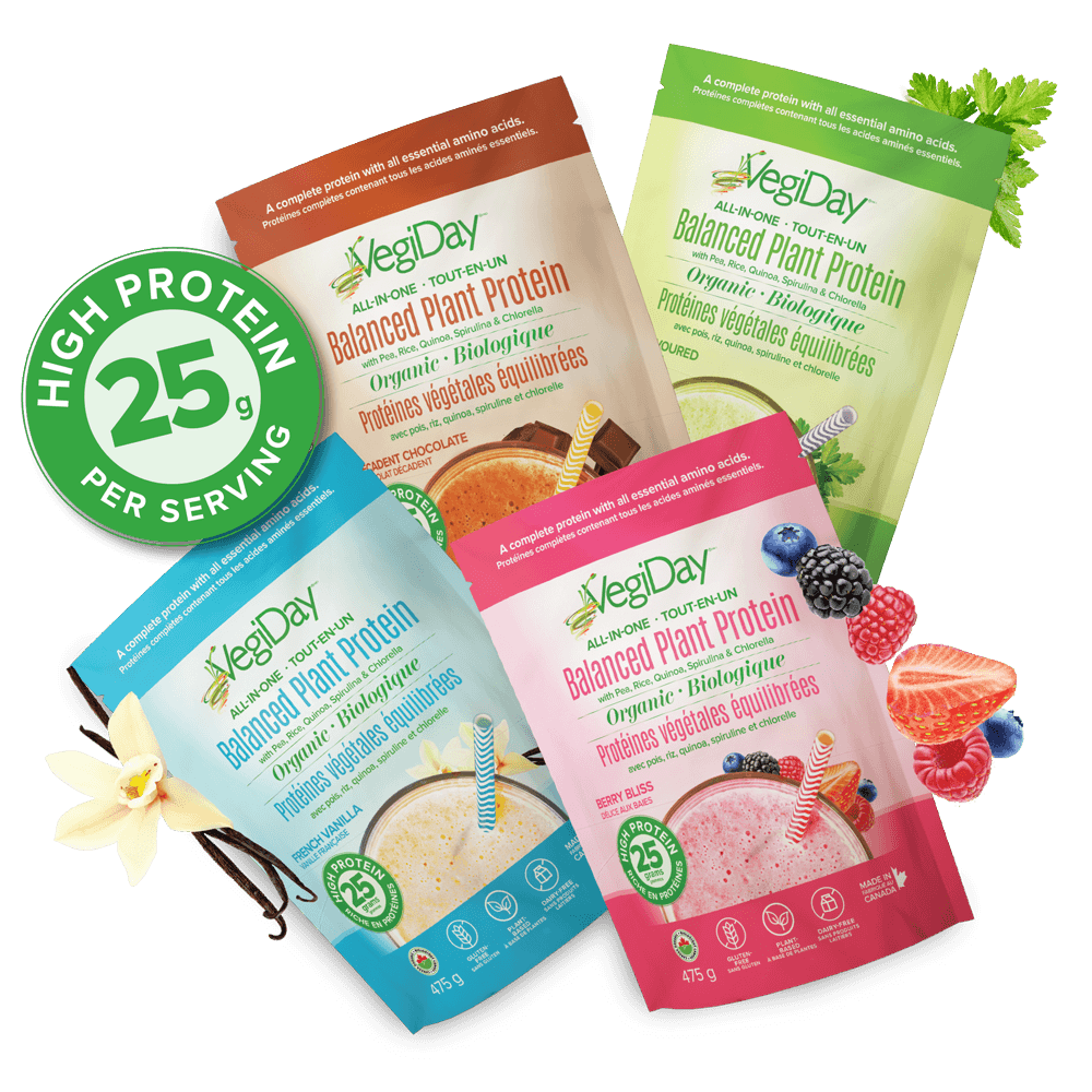 Sachets de protéines végétales équilibrées VegiDay, disponibles en saveurs chocolat, vanille, petits fruits et sans saveur, avec 25 g de protéines par portion