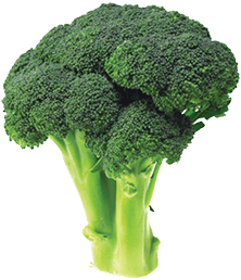 broccoli-tinify Brocoli frais