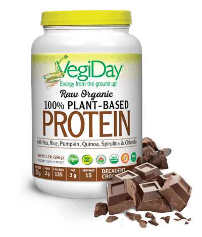 VD Protein with Chocolate