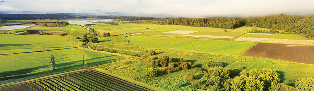 Vastes terres agricoles et champs cultivés représentant une production alimentaire durable.