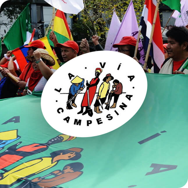 la-via-campesina-tinify La Via Campesina supporters marching with flags and organization banner